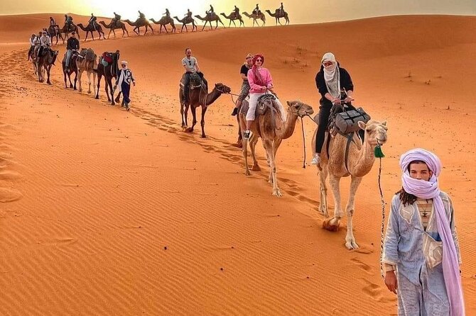 3-Day Shared Tour to Merzouga: Sahara Magic & Camel Trek - Who this 3-day Merzouga Sahara tour is best for