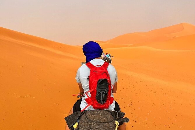 3-Day Shared Tour to Merzouga: Sahara Magic & Camel Trek - High Atlas and Ait Benhaddou: where the drive turns into the main show