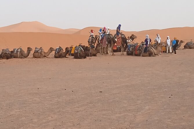 3-Day Tour to Merzouga Erg Chebbi visiting villages & Camel trek - Day 2: Road of 1000 Kasbahs to Tinghir and Todra Gorge