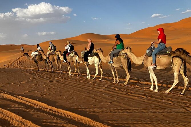 3-Day Tour to Merzouga Erg Chebbi visiting villages & Camel trek - Day 3: Getting back to Marrakech without losing your sanity