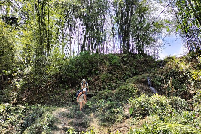 3-Day Trek in Amazing Muong Hoa Valley & ethnic Homestay - Day 1: Sapa pickup to Lao Chai and Hmong village trail time