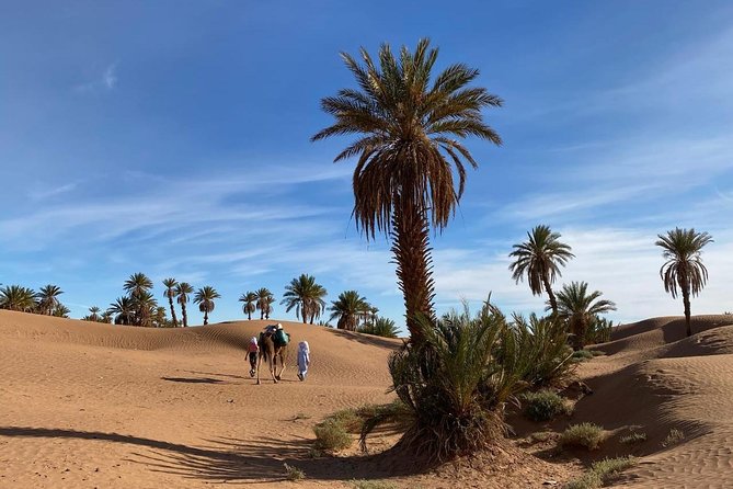 3-day trek - In the shade of palm trees - Key things that make this trek worth your time