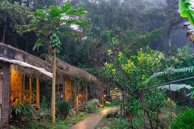 3-Day Trekking Adventure of Sapa from Hanoi - Stay Ta Van Village - Hanoi Transfers and the Sleep-Bus Advantage (No Map App Required)