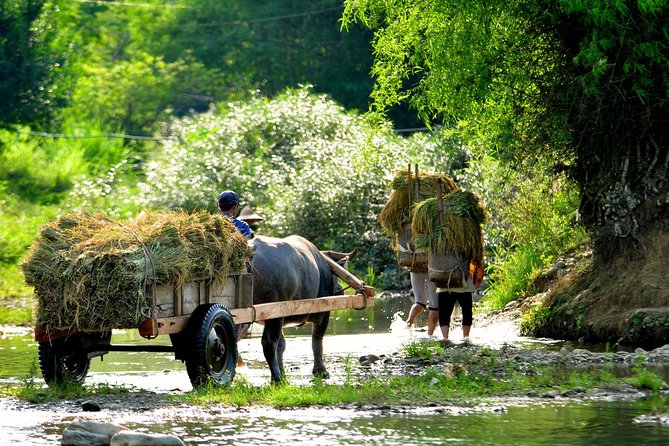 3-Day Trekking In Pu Luong Nature Reserve Private Tour - Where Pu Luong starts: Hanoi pickup, then straight into the mountains