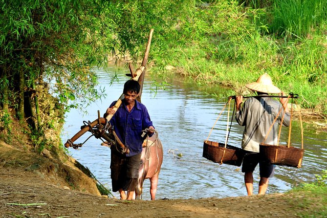 3-Day Trekking In Pu Luong Nature Reserve Private Tour - Day 2: sunrise options and a full day in the reserve area