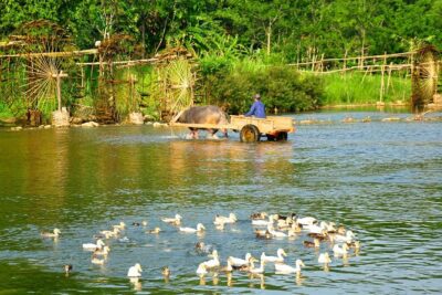 3-Day Trekking In Pu Luong Nature Reserve Private Tour - Day 1: Thung Khe Pass, then a 7 km trek and your first homestay