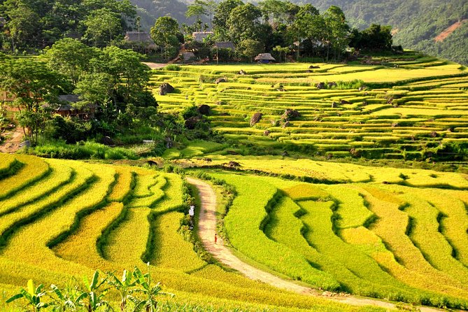 3-Day Trekking In Pu Luong Nature Reserve Private Tour - Price and logistics: what you’re paying for at $327.18 per person