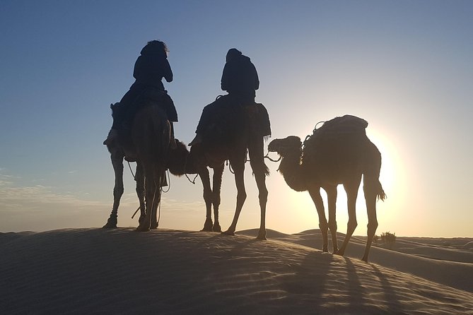 3-Day Tunisia Sahara Desert Camel Trek from Douz - Your desert camp overnight: meals, firelight, and star visibility