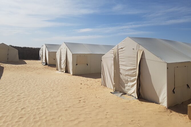 3-Day Tunisia Sahara Desert Camel Trek from Douz - Food in the Sahara: Berber vs Bedouin meals you can actually taste