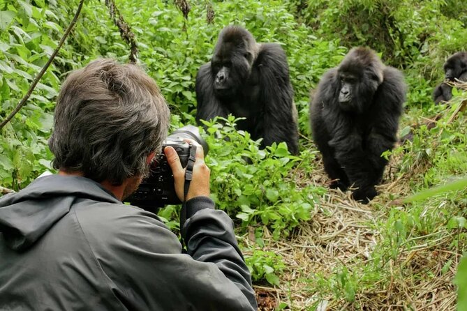 3 Day Uganda Gorilla Trekking and Batwa Pygmies Experience - Day 3: Back to Entebbe, with time shaped by your flight