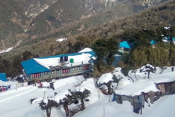 3 Days 2 Nights Poon Hill Trekking - Forest trails, Ghorepani, and the path toward Ghandruk