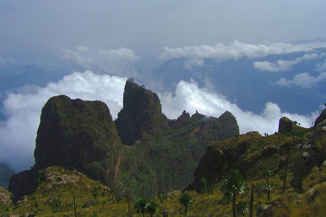 3 Days Bale Mountains Trekking - Getting to Bale Mountains from Addis: flights, pickup, and timing that matter