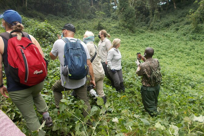 3 Days Bwindi Gorilla Trekking tour - Price and value: is $1,850 actually fair?