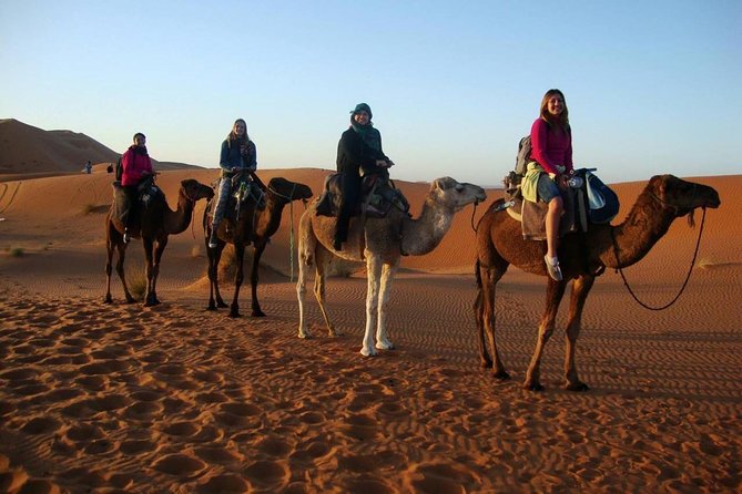 3 Days Desert Tour From Marrakech To Merzouga & Camel Trek - Who This Tour Is Best For (and Who Should Think Twice)