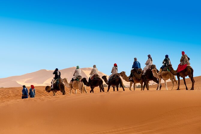 3-Days from Marrakech to Merzouga Tour with Camel Trek - Day 2: Todra Gorge, Erfoud fossils, then the dunes of Merzouga