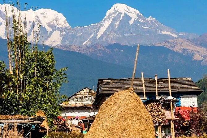 3 Days Ghorepani and Poonhill Private Trek from Pokhara - Day 1: Pokhara to Nayapul and Up to Tikhedhunga