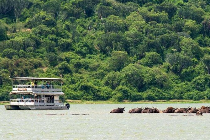 3 Days gorilla trekking Safari tour in Uganda - Uganda gorilla trekking in Bwindi: the kind of day you won’t forget