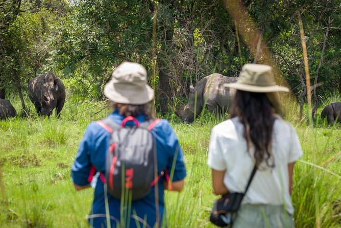 3 Days gorilla trekking Safari tour in Uganda - Day 1: Entebbe meeting, Bwindi lodge check-in, and the Batwa community tour