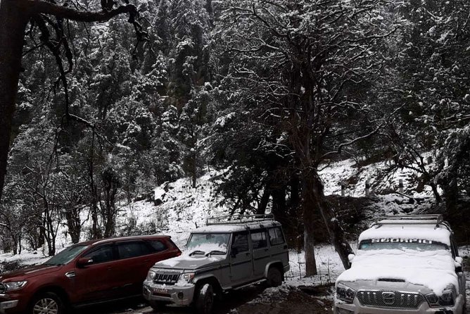 3 Days Kalinchowk Trekking from Kathmandu - The “Short, Moderate” Trek Profile (And Who It’s For)