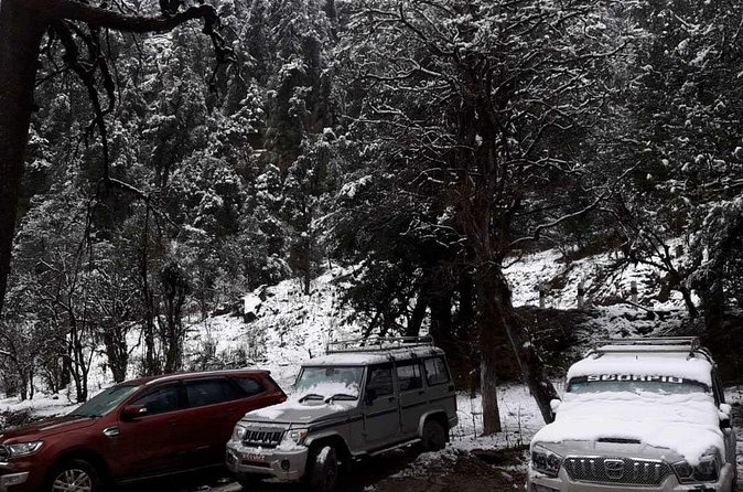 3 Days Kalinchowk Trekking from Kathmandu - Price and Value: What You Get for $290