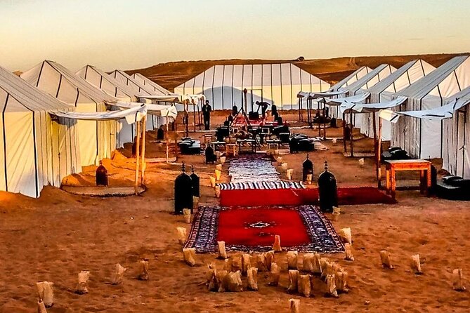 3 Days Merzouga Sahara Tour & Camel Trek - Day 3: Sunrise Camel Light, Sand Walk, and 12-Hour Return to Marrakech