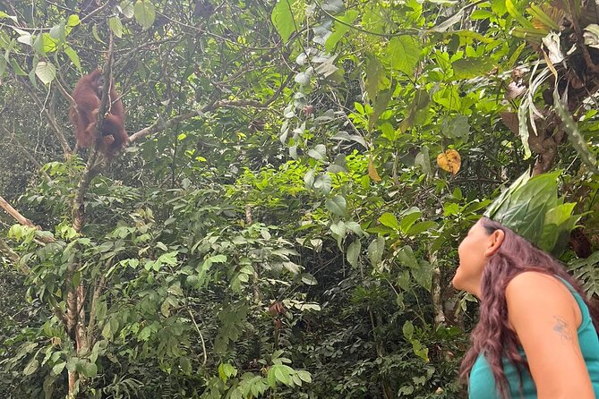 3 Days Orangutan Sumatra Jungle Trekking with Rafting - Orangutan and Bird Spotting: What You Can Expect on the Trails