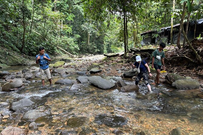 3 Days Orangutan Sumatra Jungle Trekking with Rafting - Price and Value: Is $204.21 Worth It?