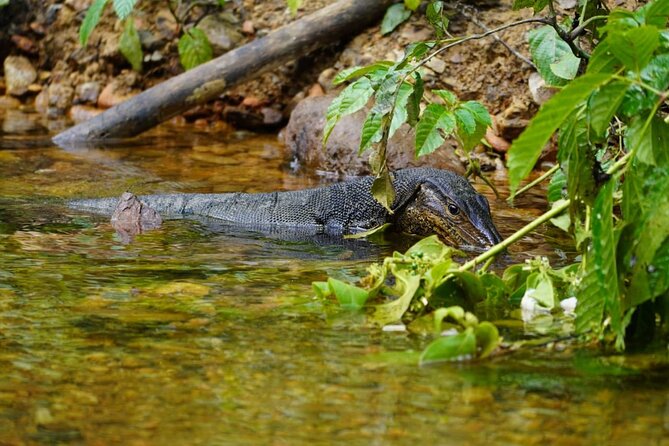 3 Days Orangutan Sumatra Jungle Trekking with Rafting - Who This Trek Suits (and Who Should Reconsider)