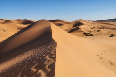 3 Days Priavte Desert Tour From Marrakech To Merzouga &Camel Trek - Price and what you actually get for $353.41