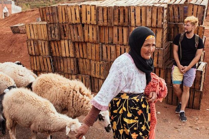 3 Days: Private Desert Tour from Marrakech to Merzouga via Atlas & Camel Trek - What makes this tour work well for the right traveler