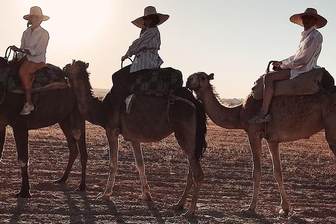3 Days: Private Desert Tour from Marrakech to Merzouga via Atlas & Camel Trek - Todra Gorge to Erfoud: canyon drama and the fossil-and-marble side of the Sahara