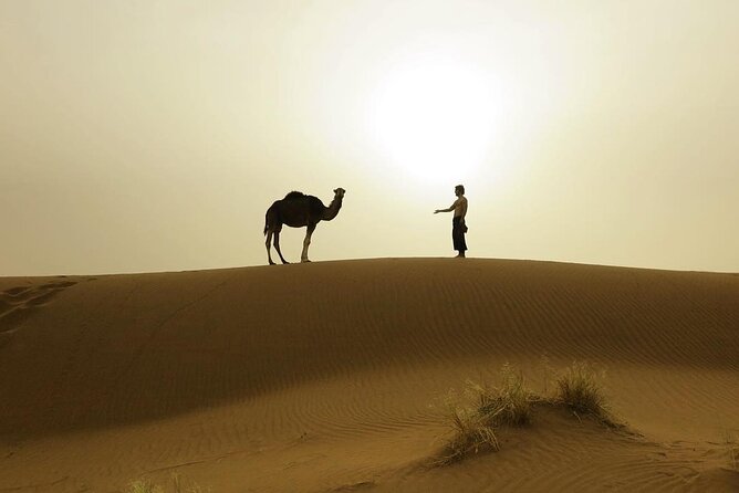3-Days Private Sahara Desert Trek - Why I’d pick M’Hamid for a private Sahara trek