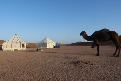 3-Days Private Sahara Desert Trek - Price and logistics: what you’re paying for at about $222.04