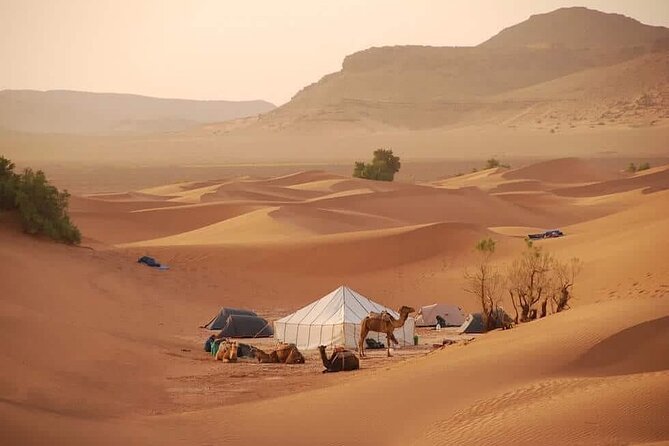 3-Days Private Sahara Desert Trek - Day Three: the nomadic pace ends in M’Hamid with a shower