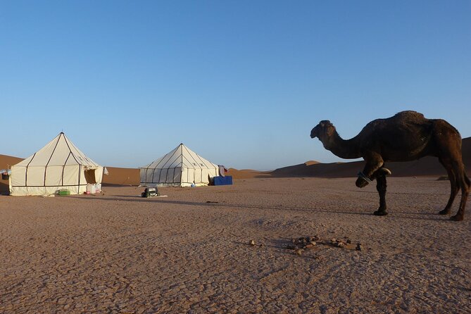3-Days Private Sahara Desert Trek - Price and logistics: what you’re paying for at about $222.04