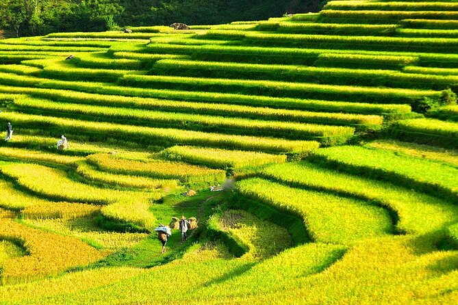 3 Days Pu Luong Off-road Trekking Best for Mountain Lovers - Key Highlights You’ll Feel Right Away