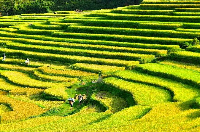 3 Days Pu Luong Off-road Trekking Best for Mountain Lovers - Day 3 Route: Suspension Bridge Trek, Chieu Lau Dam Rafting, and Back to Hanoi