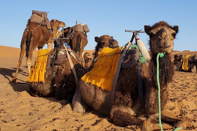 3 Days Tour from Marrakech to Merzouga Dunes and Camel Trek - Key highlights you’ll feel immediately