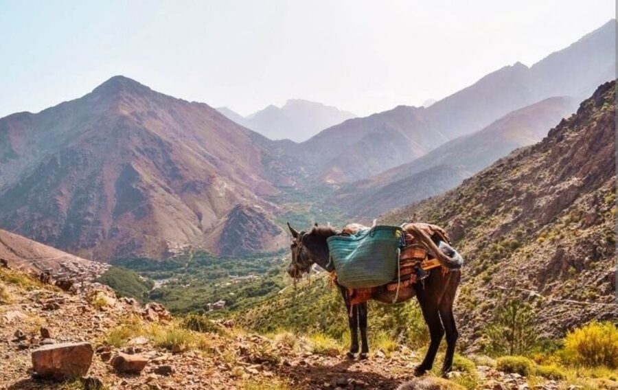 3 Days Trek Atlas Mountains Berber Villages from Marrakech - Guides and Pace: The Difference Between Tough and Enjoyable