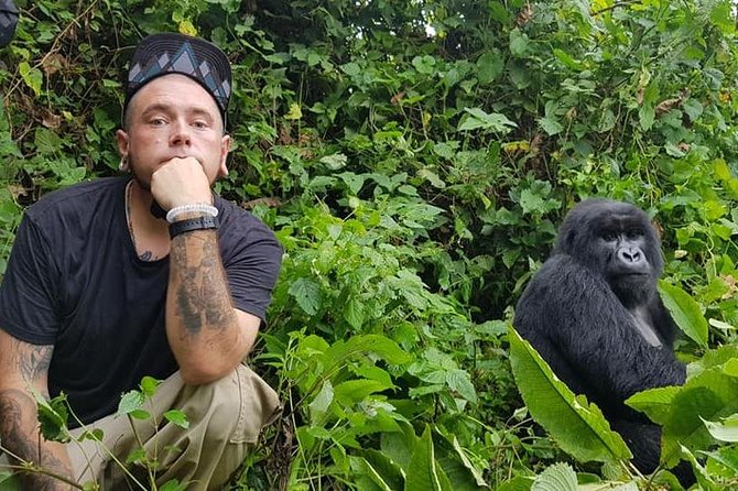 3 Days Uganda Gorilla Trekking Safari - First Day From Kigali to Bwindi: Rwanda Hills, Katuna Border, Then Lodge Time