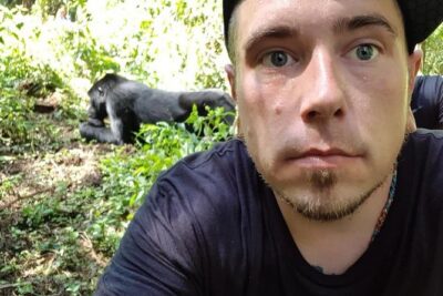 3 Days Uganda Gorilla Trekking Safari - Gorilla Trekking Day in Bwindi: The Trek Is Real, Then You Get One Focused Hour
