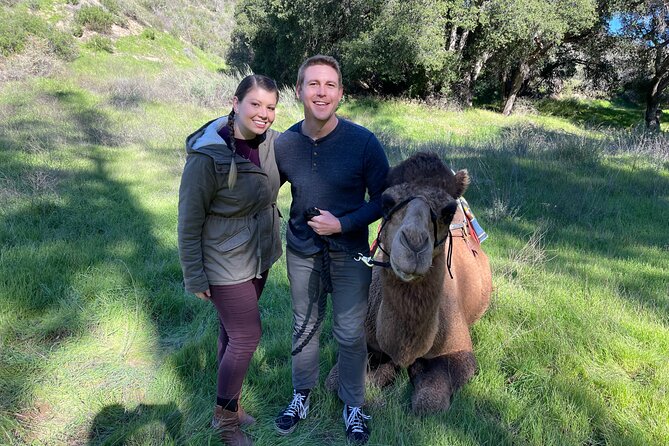 3 Hour Camel Trek into the Forest and Ranch in California - Camel Trek into the Forest: why this feels different near Los Angeles