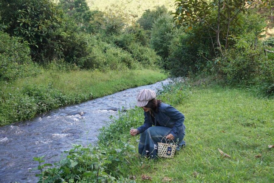 3-Hours Trekking Tour to Hidden Waterfall and Sturgeon Farm - Quick hits