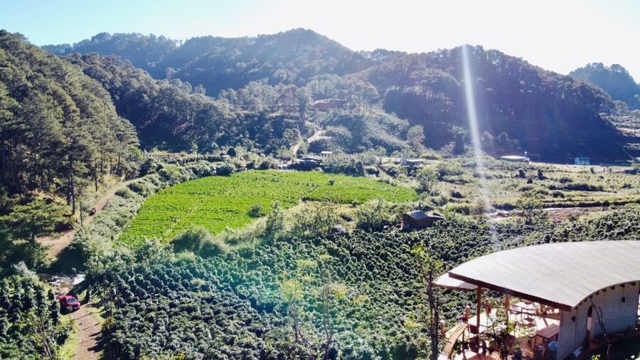 3-Hours Trekking Tour to Hidden Waterfall and Sturgeon Farm - Sturgeon farm stop: caviar production, explained in plain terms