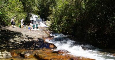 3-Hours Trekking Tour to Hidden Waterfall and Sturgeon Farm - The forest walk: the first 30 minutes set your tone