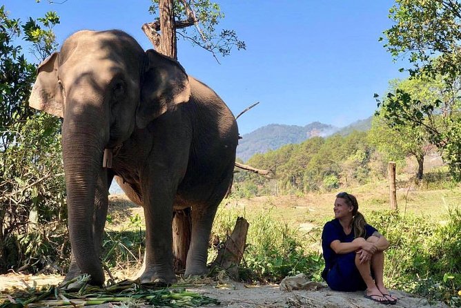 3-in-1: Doi Inthanon Tour, Elephant Sanctuary, and Trekking Trail - Price and logistics: what you’re really paying for