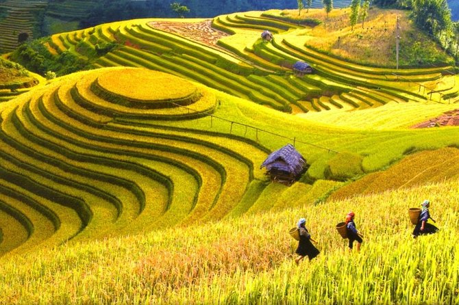 3-Night Sapa Trek and Homestay with Round Trip Transfer from Hanoi - Why This Sapa Plan Starts With an Overnight Train From Hanoi