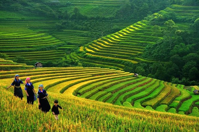 3-Night Sapa Trek and Homestay with Round Trip Transfer from Hanoi - Day 1: Y Linh Ho and Your First Night on the Rails