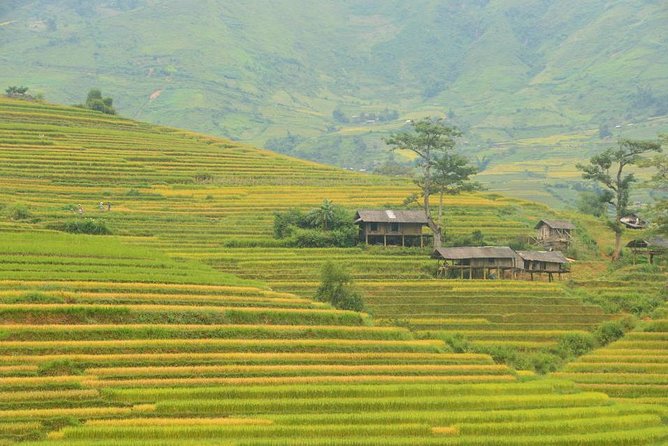 3-Night Sapa Trek and Homestay with Round Trip Transfer from Hanoi - Village Visits: H’mong, Zay, and Red Zao Life Up Close