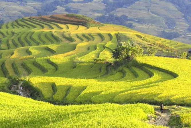 3-Night Sapa Trek and Homestay with Round Trip Transfer from Hanoi - Meeting Point, Pickup, and Getting to Lao Cai